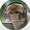 Chris Collo - @chr1sc0l1231 - TikTok