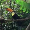 Chris Colonel - @chris.colonel5 - TikTok