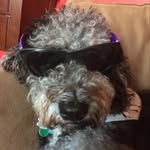 Chris’ Mind - @colonel_chris - Instagram