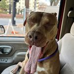 Chris Colosimo - @oraclechris - Instagram