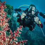 Chris Colyer - @chriscolyer6455 - Instagram