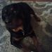 Chris Comito - Facebook
