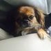 Christian Comperchio - Facebook