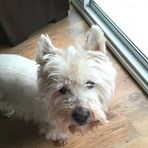Chris Compson - Facebook