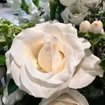 Christine Conacher - @c.conacher - Instagram