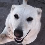 Chris Conde - @chris.conde.7374 - Instagram