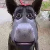 chris - @chriscondones_ - TikTok