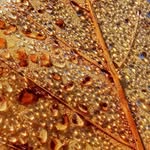 @chris_coniston - Instagram
