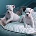 Chris Conkright - Facebook