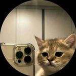 christian consoli - @dojagatto - Instagram