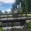 Chris Constance - @chris.constance - TikTok