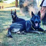 Chris Wenk - @chris_lake_constance - Instagram