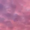 Chris Constant473 - @chrisconstant473 - TikTok