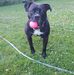 Christopher Contini - Facebook