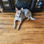 Chris Conwell - @c_conwell_ - Instagram