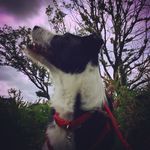 Chris Conwell - @christopher_conwell - Instagram