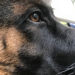 Chris Coolbaugh - @chriscoolbaugh - Instagram