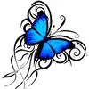chris cooley - @chris.cooley4 - TikTok