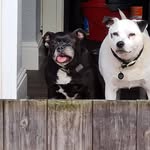 Chris Coombs - @coombsy1962 - Instagram