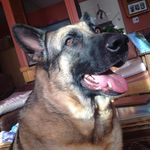 Chris Coomes - @coomes.chris - Instagram