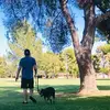 Christopher Coplan - @christophercoplan - TikTok