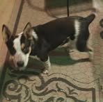 Chris Coplen - Facebook