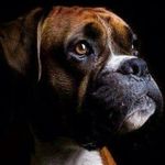 Christian Coppage - @christiancoppage - Instagram