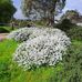 Christine Copping - Facebook