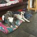 Christine Copus - Facebook