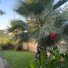 Chriscorb - @chris.corb - TikTok