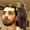 chriscorbo - @chriscorbo - TikTok