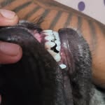 Chri's Cordeiro - @chris.cordeiro028 - Instagram