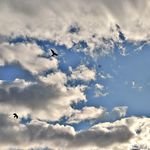 Chris Cordell - @photographycordell - Instagram