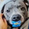 Chris Cordle - @chris.cordle1 - TikTok
