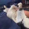 chriscordrey435 - @chriscordrey435 - TikTok