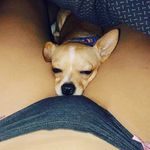 Chris Corea - @chris2006corea - Instagram