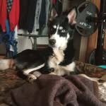 Chris Corey - @chriscorey40 - Instagram