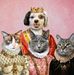 Chris Corkery - Facebook