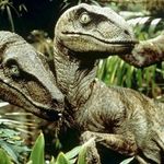 Chris Corkins - @jurassiclantern - Instagram