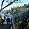 Chris Cormican - @chris.cormican - TikTok