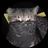 Jhitslat - @chriscorrales - TikTok