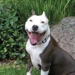 Christina Chris Cosio - @bear.918407 - Instagram