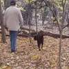 Chris Costanza - @user8p45f65w4u - TikTok