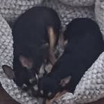 Chris Costanza - @chrissales40 - Instagram