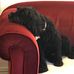 Christopher Cottam - Facebook