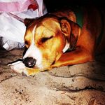 Chris Couey - @cmcouey99 - Instagram
