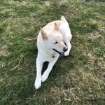 Chris.coulson - @chris.coulson1614 - Instagram