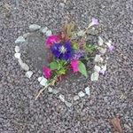 Christèle Courson - @christelecourson - Instagram
