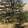 chriscoury503 - @chriscoury503 - TikTok