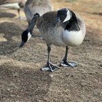 Chris Covell - @clcphotog - Instagram